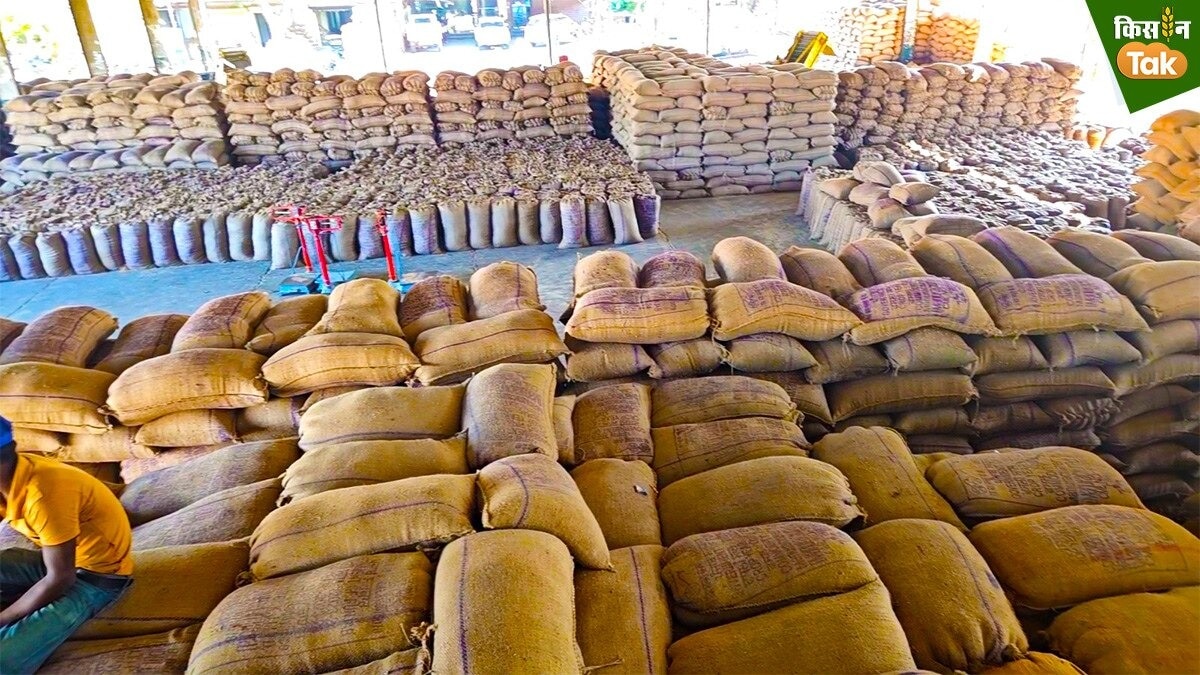 Dr Ashok Gulati: ₹4 lakh crore in subsidies, but less than ₹10,000 crore for agri R&D