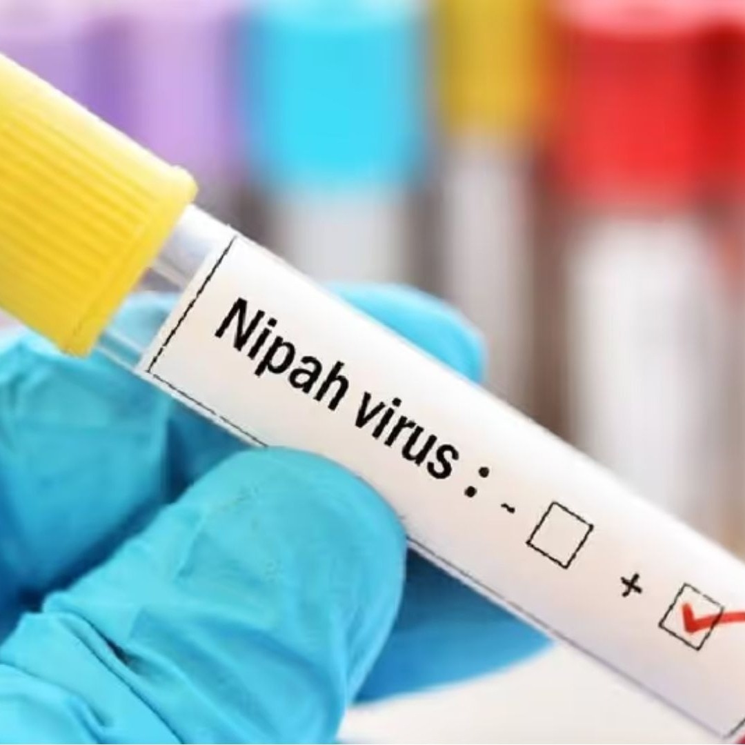 Nipah virus case found in kerala again